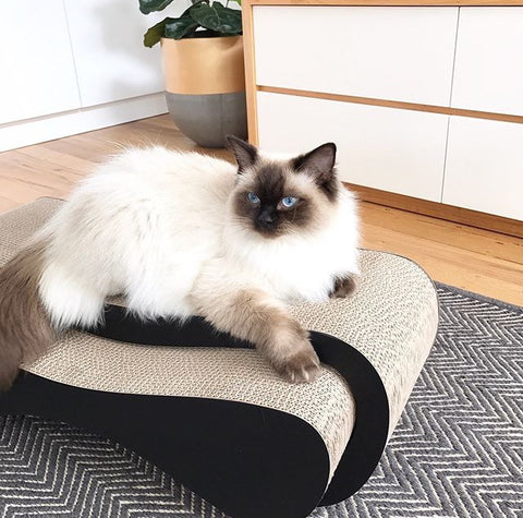 Walk Thru2+ Ziggi Cat Scratcher & Lounge