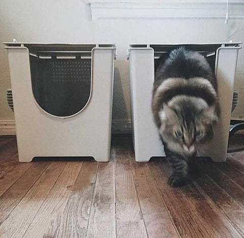 Modkat Flip Cat Litter Box with scoop & reusable Tarp Liner