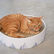 Cat bed & Scratcher